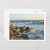 ビーチの日 ポストカード (正面/裏面)