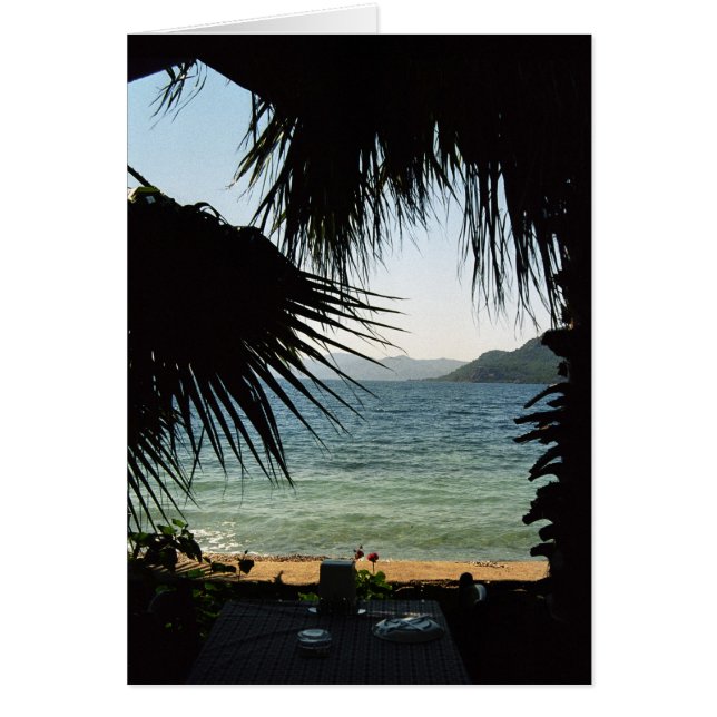 ビーチの昼食 (正面)