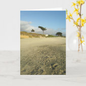 ビーチの木 カード (黄色い花)