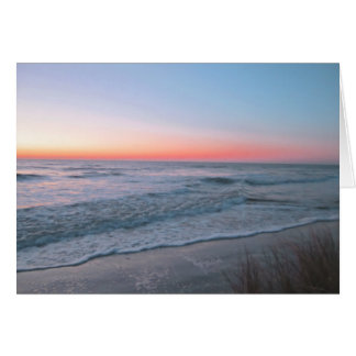 ビーチの正面図