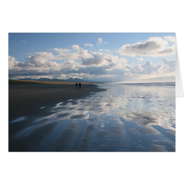 ビーチの歩行 (正面横)