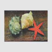 ビーチの水色の貝殻のヒトデ 薄葉紙 (正面)