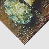 ビーチの水色の貝殻のヒトデ 薄葉紙 (詳細)