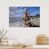 ビーチの海岸沿いの流木フランスの ポスター (キッチン)