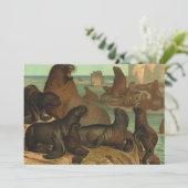 ビーチの海獅子たち、ヴィンテージの海洋生物動物 (スタンド正面)