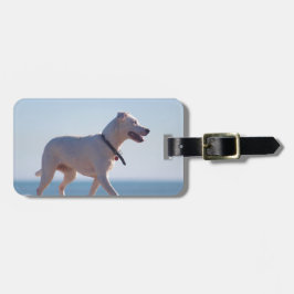 ビーチの犬 ラゲッジタグ