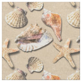ビーチの砂の海の貝 ファブリック (クローズアップ)