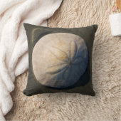 ビーチの砂ドル クッション (ブランケット)