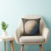 ビーチの砂ドル クッション (椅子)