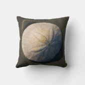 ビーチの砂ドル クッション (裏面)