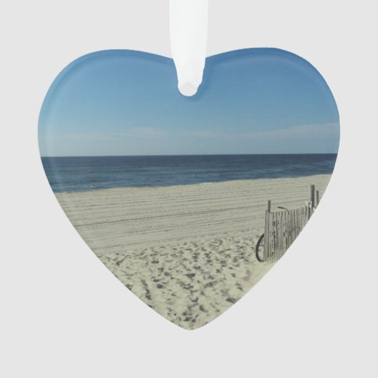 ビーチの美しい オーナメント (正面)