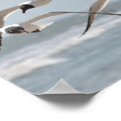 ビーチの群れの近飛んでいるくの海 ポスター (角)