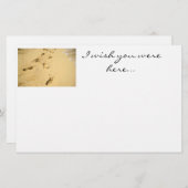 ビーチの芸術の文房具 便箋 (正面/裏面)