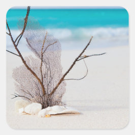 ビーチの貝殻写真 スクエアシール