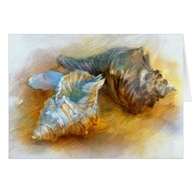 ビーチの貝殻 (正面横)