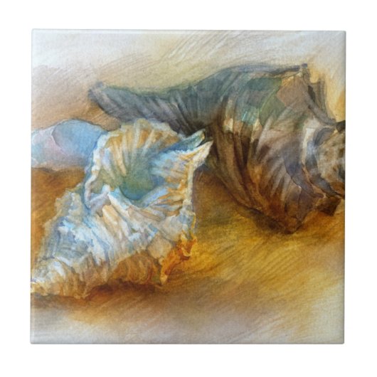 ビーチの貝殻 タイル (正面)