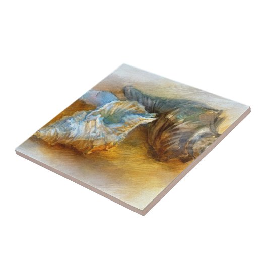 ビーチの貝殻 タイル (側面)