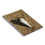 ビーチの貝殻 ノートブック (右側)