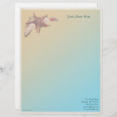 ビーチの貝殻 レターヘッド (正面/裏面)