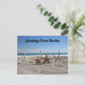 ビーチの貝殻 – Florida Life ポストカード (スタンド正面)