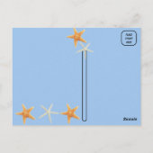 ビーチの貝殻 – Florida Life ポストカード (裏面)