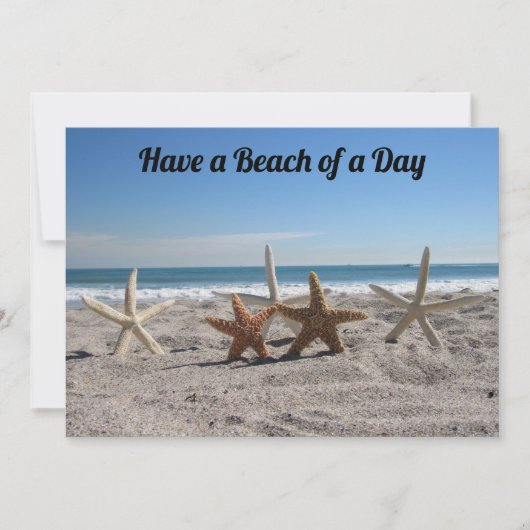 ビーチの貝殻 – Florida Life - Flat Card (正面)