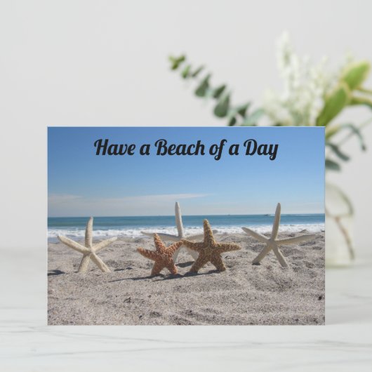 ビーチの貝殻 – Florida Life - Flat Card (スタンド正面)