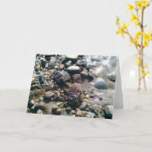 ビーチの貝 カード (黄色い花)
