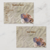 ビーチの貝 名刺 (正面/裏面)
