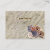 ビーチの貝 名刺 (裏面)