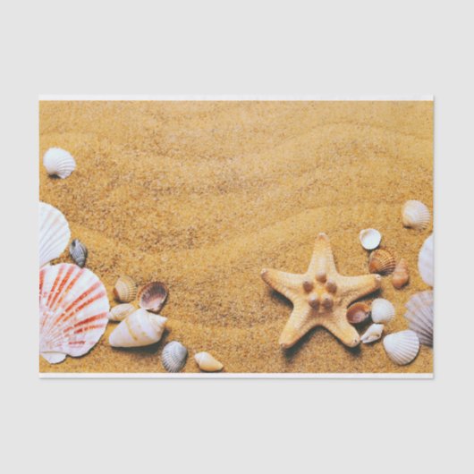 ビーチの貝 薄葉紙 (正面)