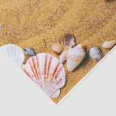 ビーチの貝 薄葉紙 (詳細)