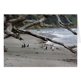 ビーチの雑色の毛羽織り