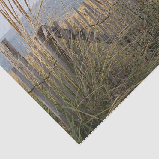 ビーチの風化させたビーチの塀そして砂丘草 薄葉紙 (詳細)