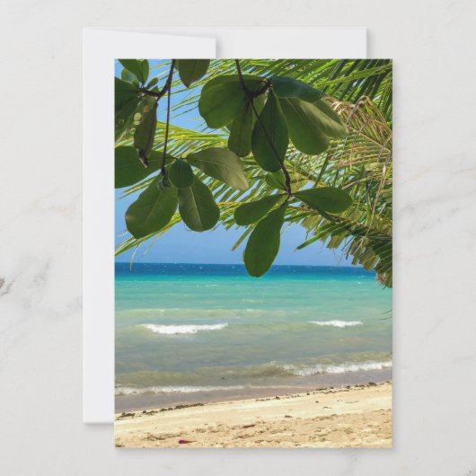 ビーチの風景。フィリピン。モアルボアル。白ビーチ。 招待状 (正面)