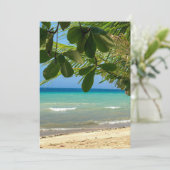 ビーチの風景。フィリピン。モアルボアル。白ビーチ。 招待状 (スタンド正面)