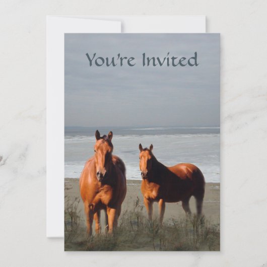 ビーチの馬の招待状 招待状 (正面)