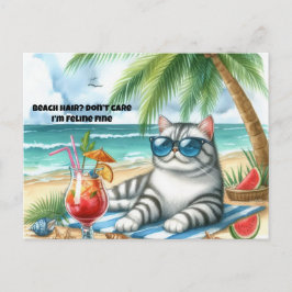 ビーチの髪の毛は気にしない猫のポストカード ポストカード