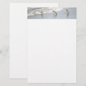 ビーチの鳥サーフフォトステーショナリー紙 便箋 (正面/裏面)