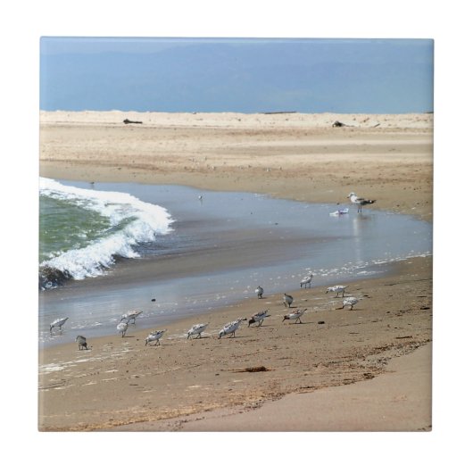 ビーチの鳥 タイル (正面)