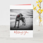 ビーチの黒くか白い写真w/Redつばカードの犬 カード (黄色い花)