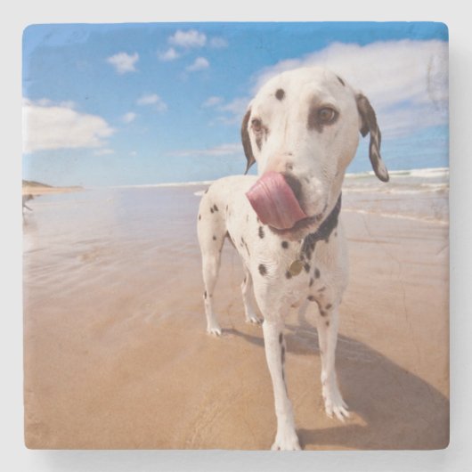 ビーチのDalmatian犬 ストーンコースター (正面)