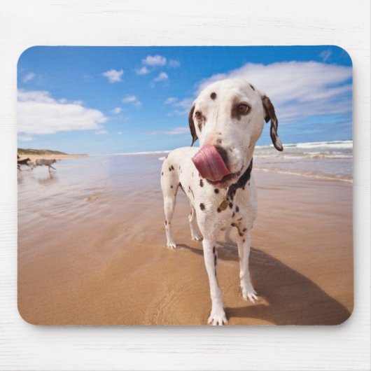 ビーチのDalmatian犬 マウスパッド (正面)
