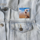 ビーチのDalmatian犬 缶バッジ (インサイチュ)