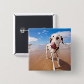 ビーチのDalmatian犬 缶バッジ (正面&裏面)