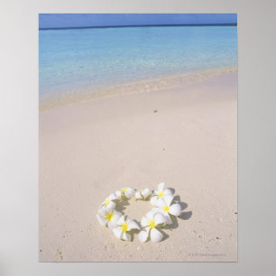 ビーチのFrangipani ポスター
