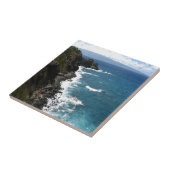 ビーチのKapaluaの海岸線 タイル (側面)