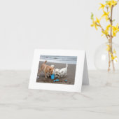 ビーチのPlaytime カード (黄色い花)