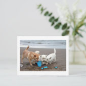 ビーチのPlaytime ポストカード (スタンド正面)