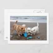 ビーチのPlaytime ポストカード (正面/裏面)